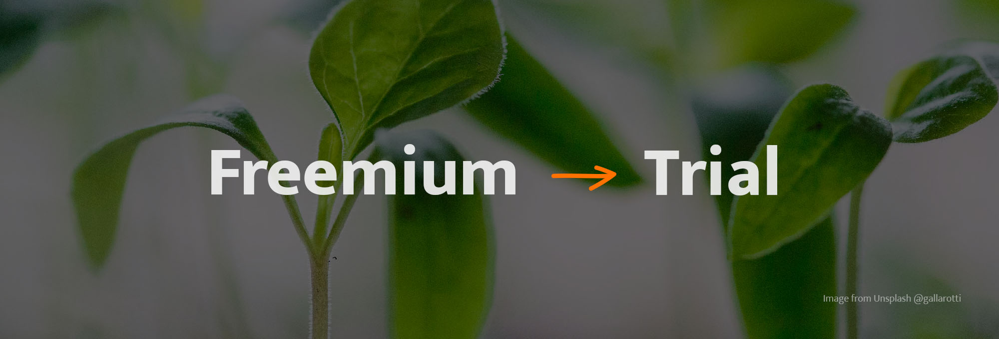 Changes to Directual Free plan